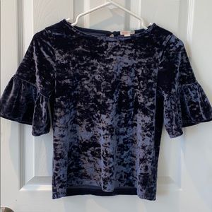 J Crew Blue Velvet Top